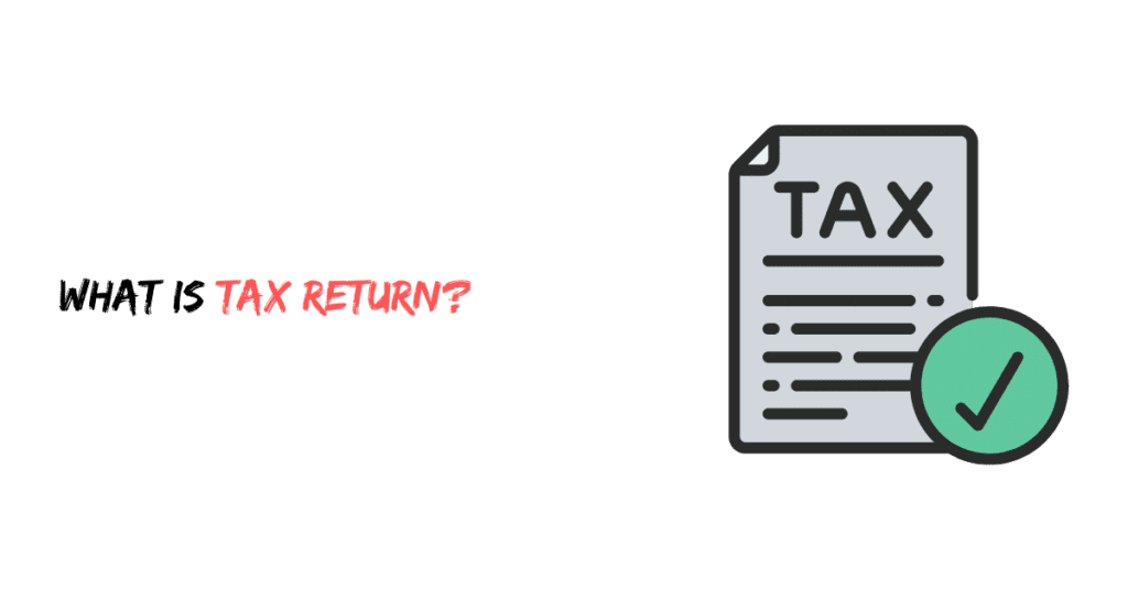 What is a Tax Return?