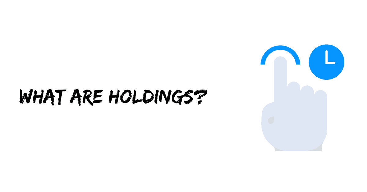 What are Holdings?