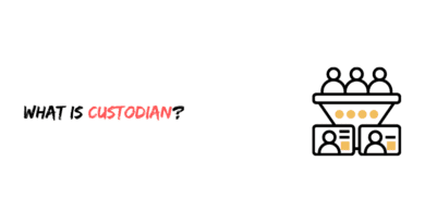 What is Custodian?