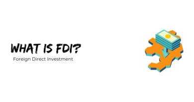 What is Foreign Direct Investment (FDI)?
