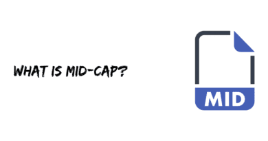 What is Mid-cap?