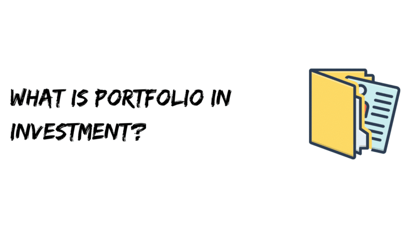 What is Portfolio in Investment?