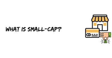 What is Small-cap?
