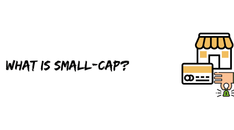 What is Small-cap?