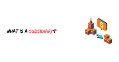 What is a Subsidiary?