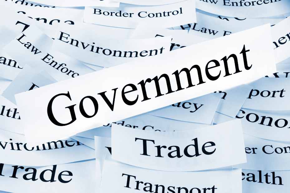 Government Investment Scheme