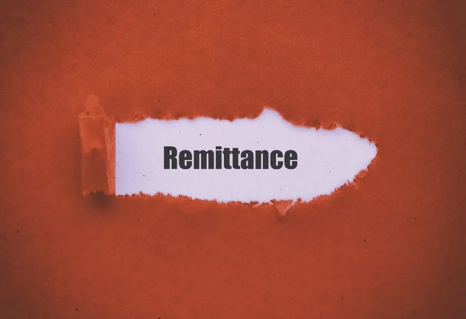 Best Demat accounts for NRI with easy remittance options 14 remittance